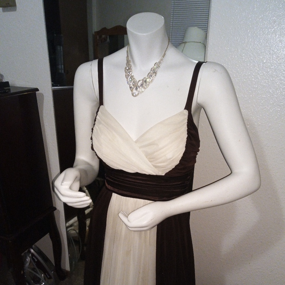 Evening / Special Occasion Dress
